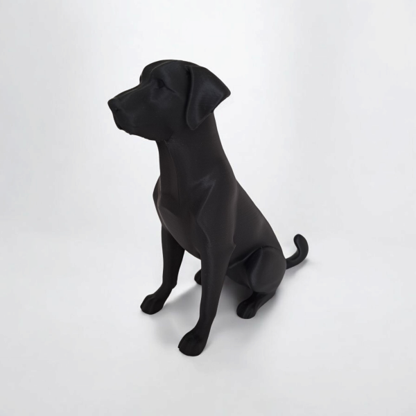 Heykelsi Labrador — Geometrik Form, Sessiz Karakter — antrasit