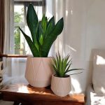 GeoBloom | Geometrik Formlu Saksı İkili Set — geometrik saksı